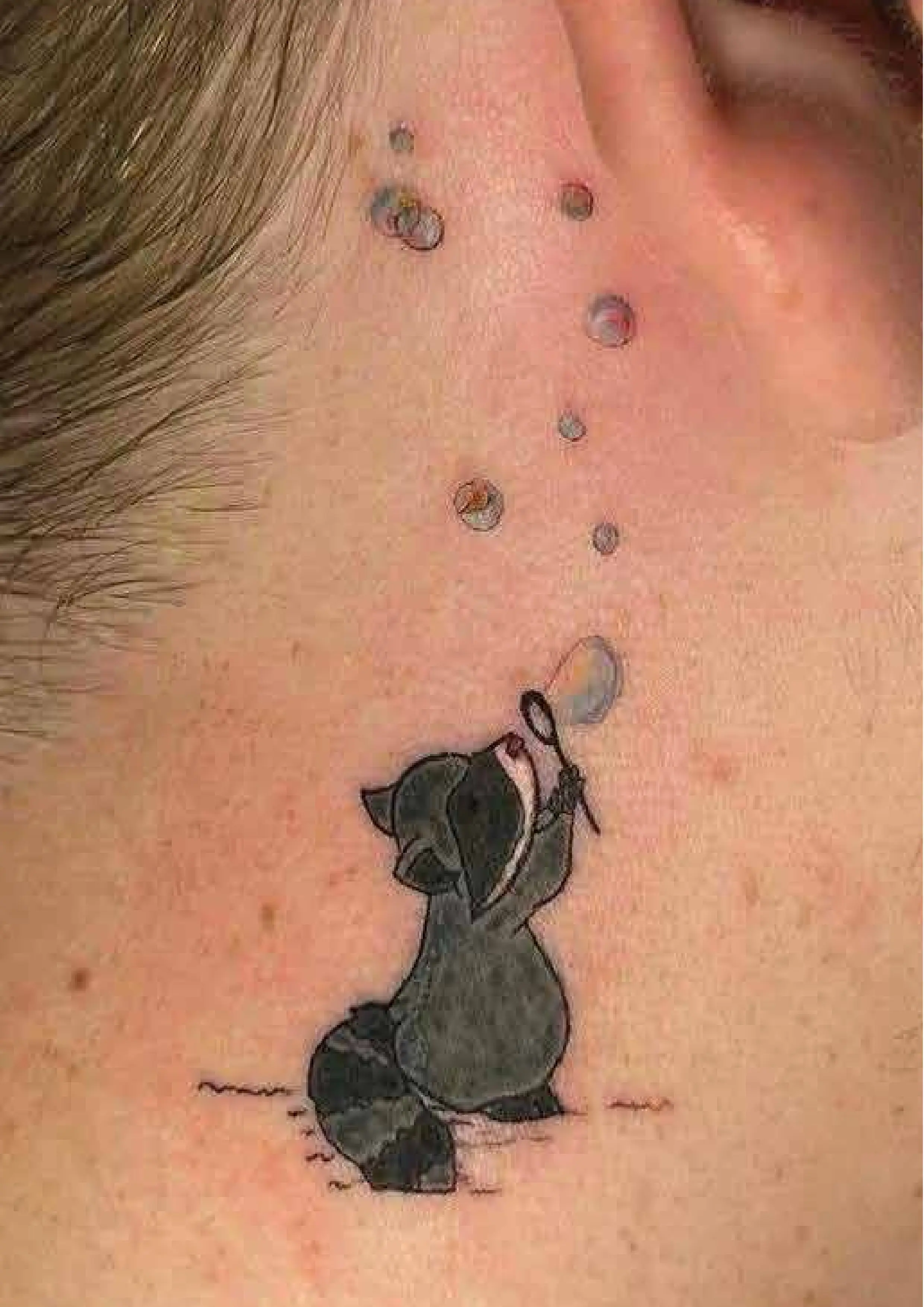 Neo-Traditional Tattoo - Seattle Tattoo Shop | Ink DaVinci